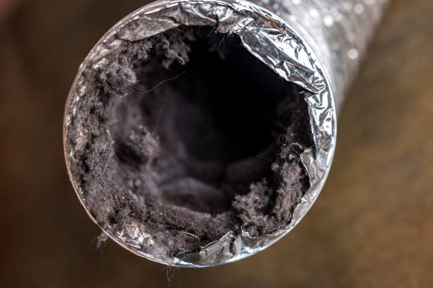 Best Air Duct Cleaning Near Me  in St Clair, MI