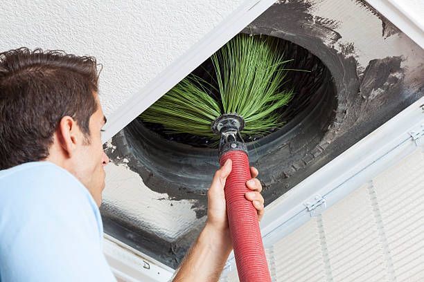 Best Dryer Vent Cleaning Services  in St Clair, MI